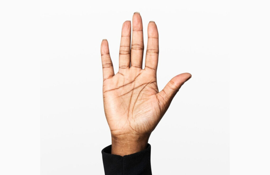 Say No To Discouragement 1 Stop Palm